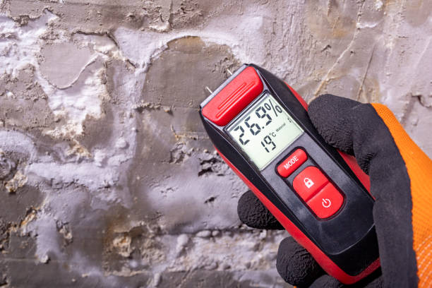 Best Office Mold Removal Services  in Plumsteadville, PA