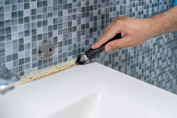 Attic Mold Removal in Plumsteadville, PA