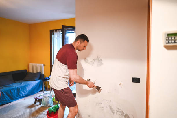 Reliable Plumsteadville, PA Mold Removal Solutions