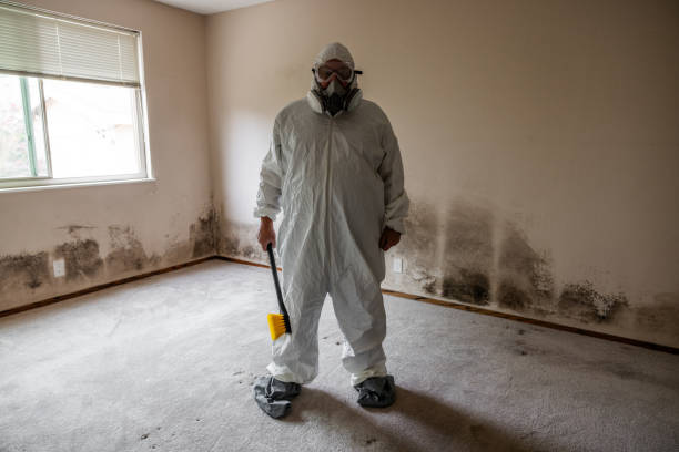 Best Mold Cleaning Services  in Plumsteadville, PA